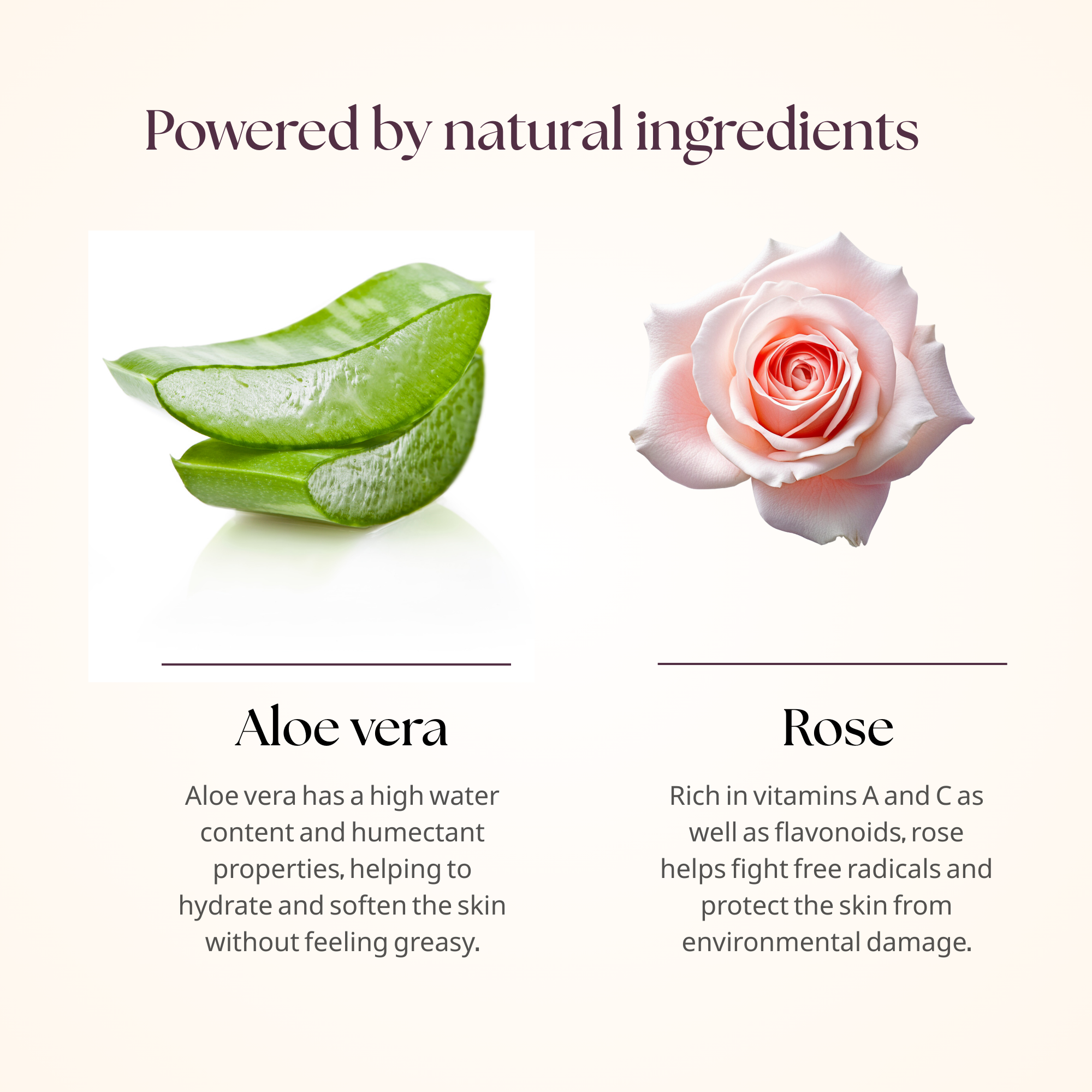 Aloe Vera Rose Gel | 100g | Soothing & Hydrating Face Gel with Aloe Vera & Rose Extracts