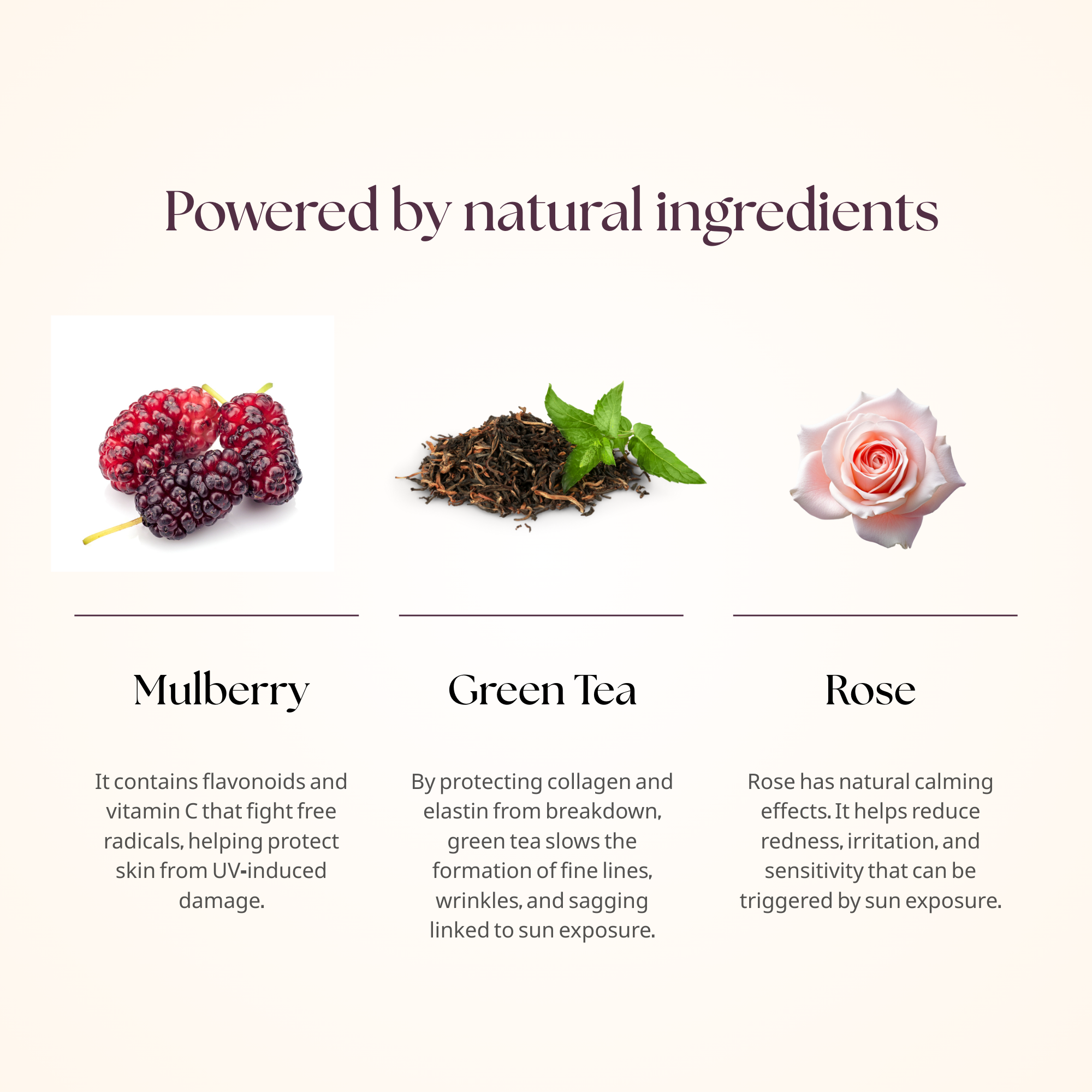 Day Cream SPF 50 with Mulberry, Rose & Green Tea | Brightening & Anti-Ageing Face Moisturizer