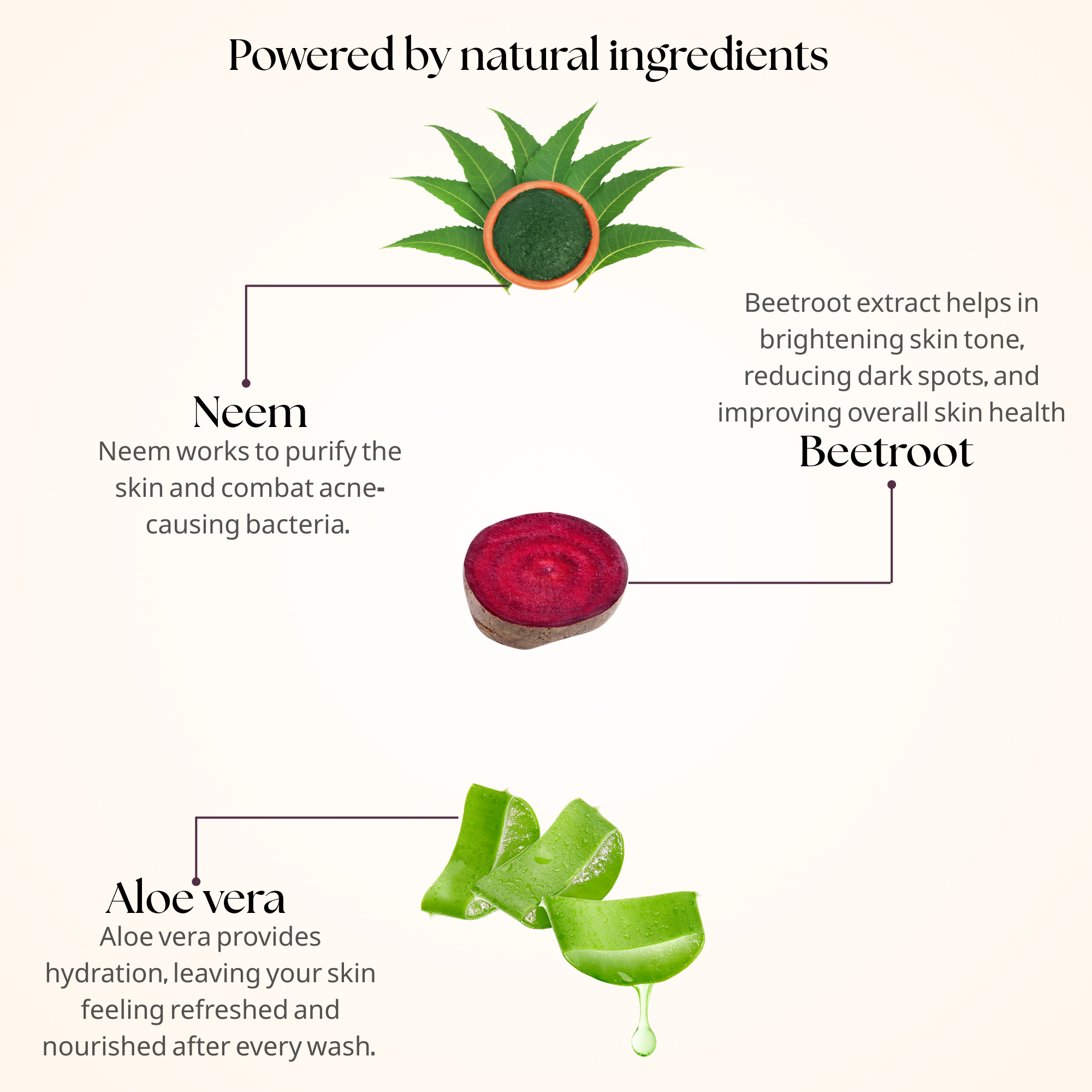 Detoxifying Face Wash | 100 ml | Beet Root Extract, Neem & Aloe Vera