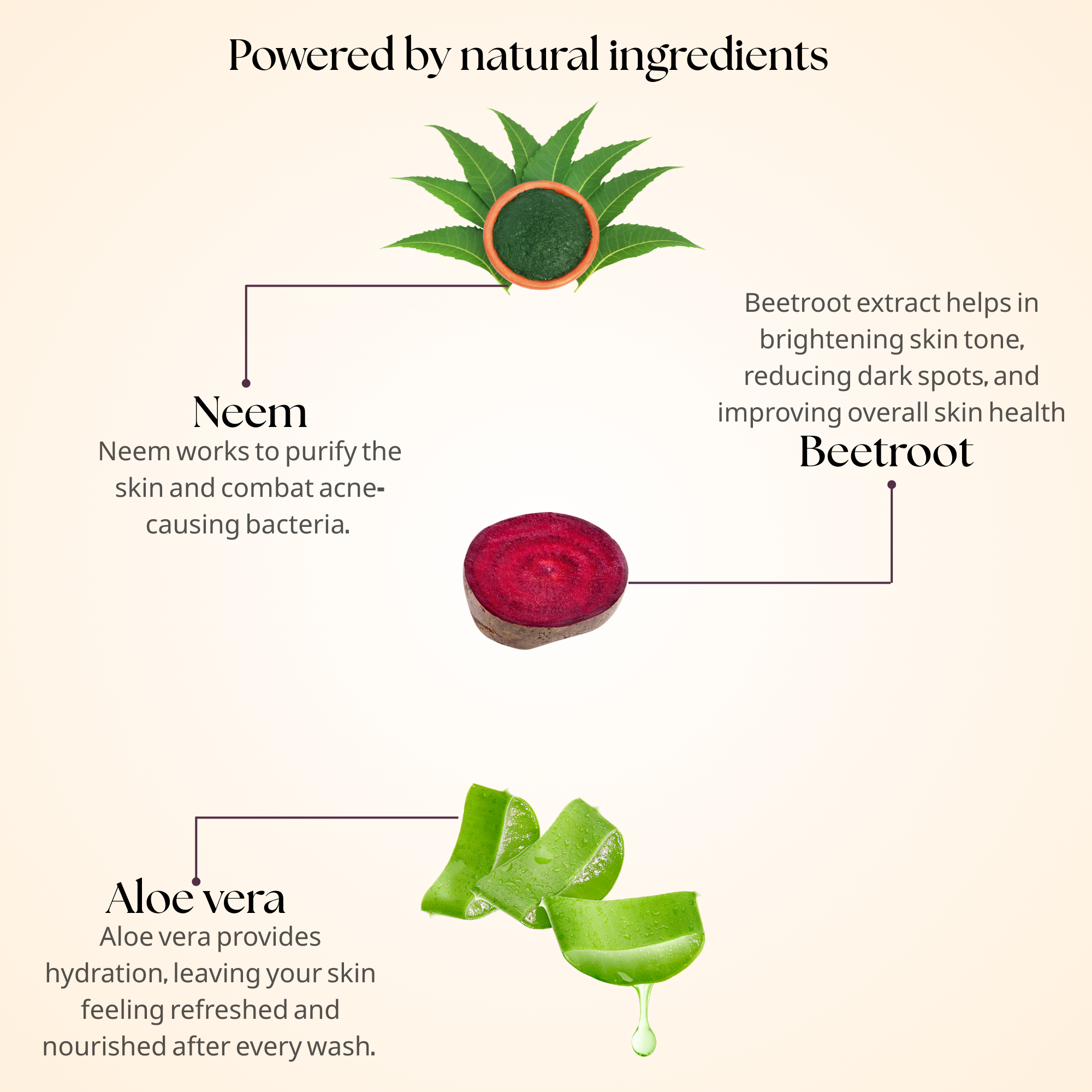 Detoxifying Face Wash | 100 ml | Beet Root Extract, Neem & Aloe Vera