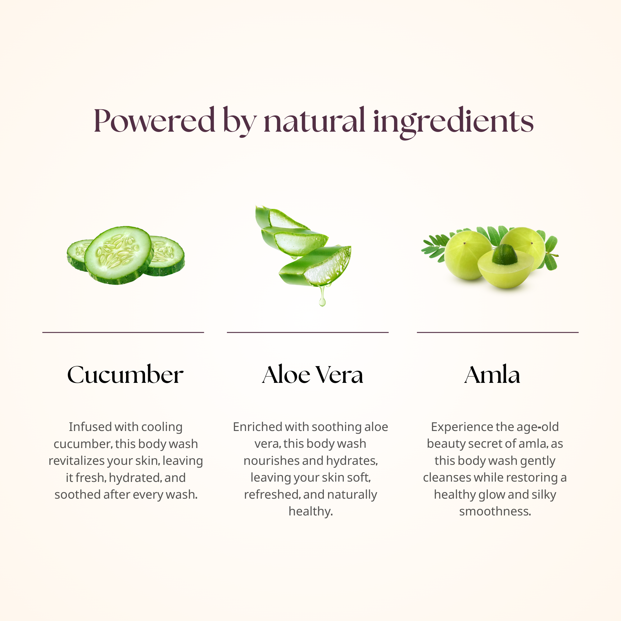 Body Wash with Cucumber, Amla & Aloe Vera | Herbal Natural Body Cleanser for Men & Women 300ml